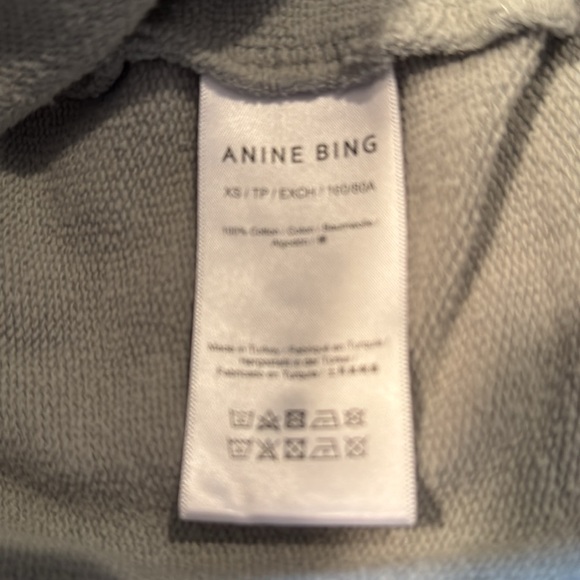 Anine Bing Tyler Satin Bing Sweatshirt in Sage - Picture 9 of 11